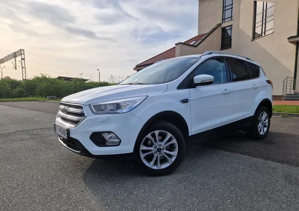 skoczów Ford Kuga cena 79500 przebieg: 51900, rok produkcji 2018 z Skoczów